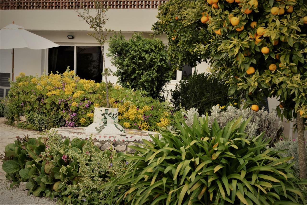 Apartamento Quinta Da Cerejeira